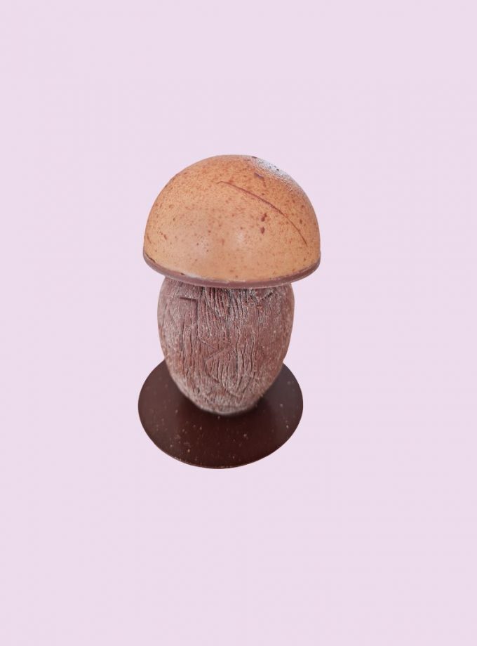 CHAMPIGNON D'AUTOMNE