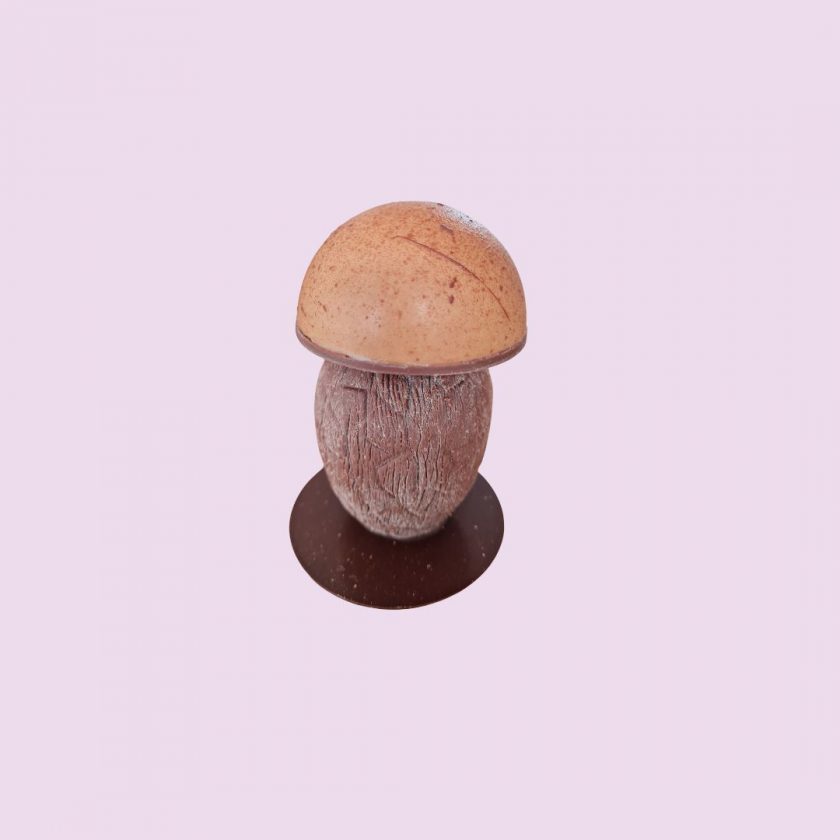 CHAMPIGNON D'AUTOMNE