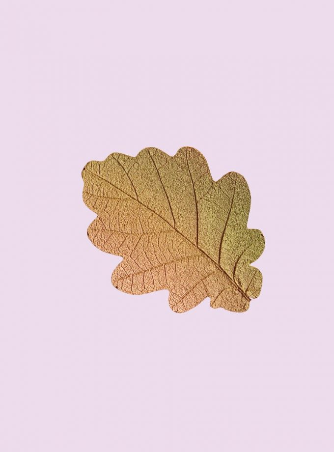 BOUCHEE FEUILLE D'AUTOMNE