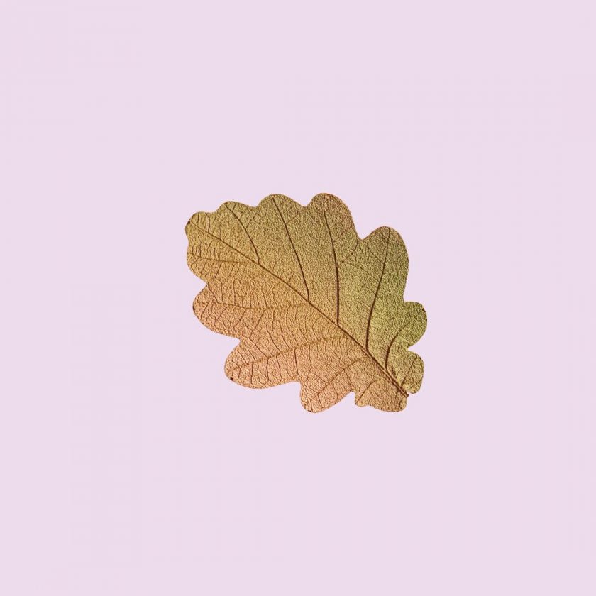 BOUCHEE FEUILLE D'AUTOMNE