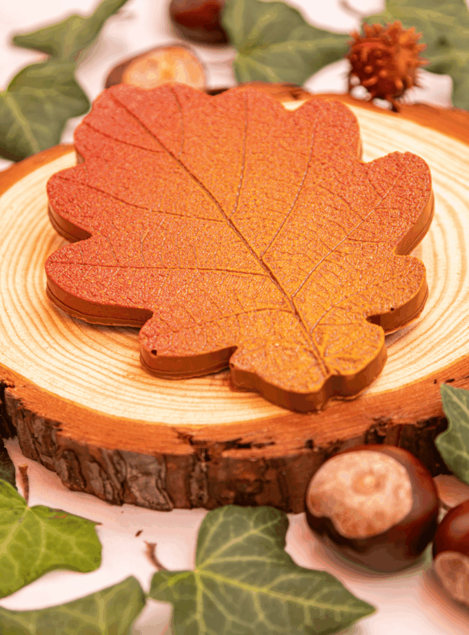 FEUILLE D'AUTOMNE